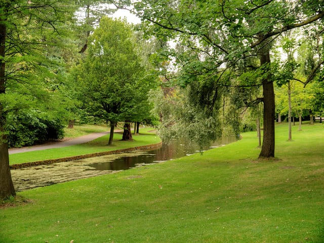 Oasis in the Park photo 5