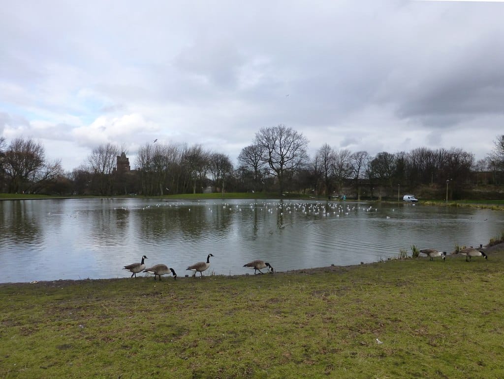 Cafeteria & Toilets, Newsham Park photo 2