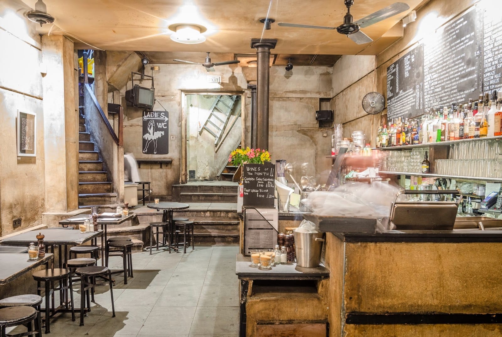 Freud Café-Bar & Gallery