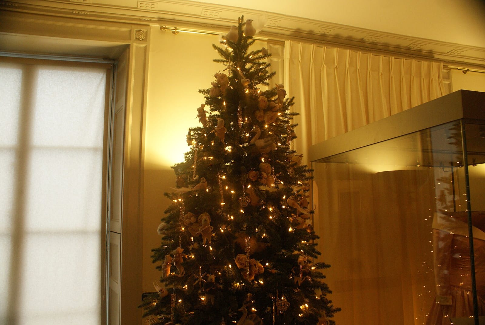 Kensington Palace Cafe photo 5