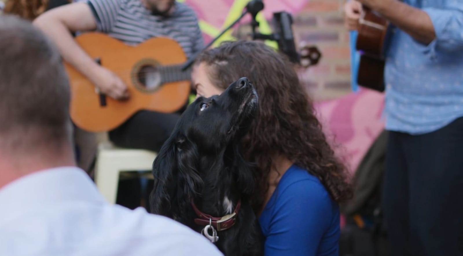 Snuffle Dog cafe & wine bar photo 3