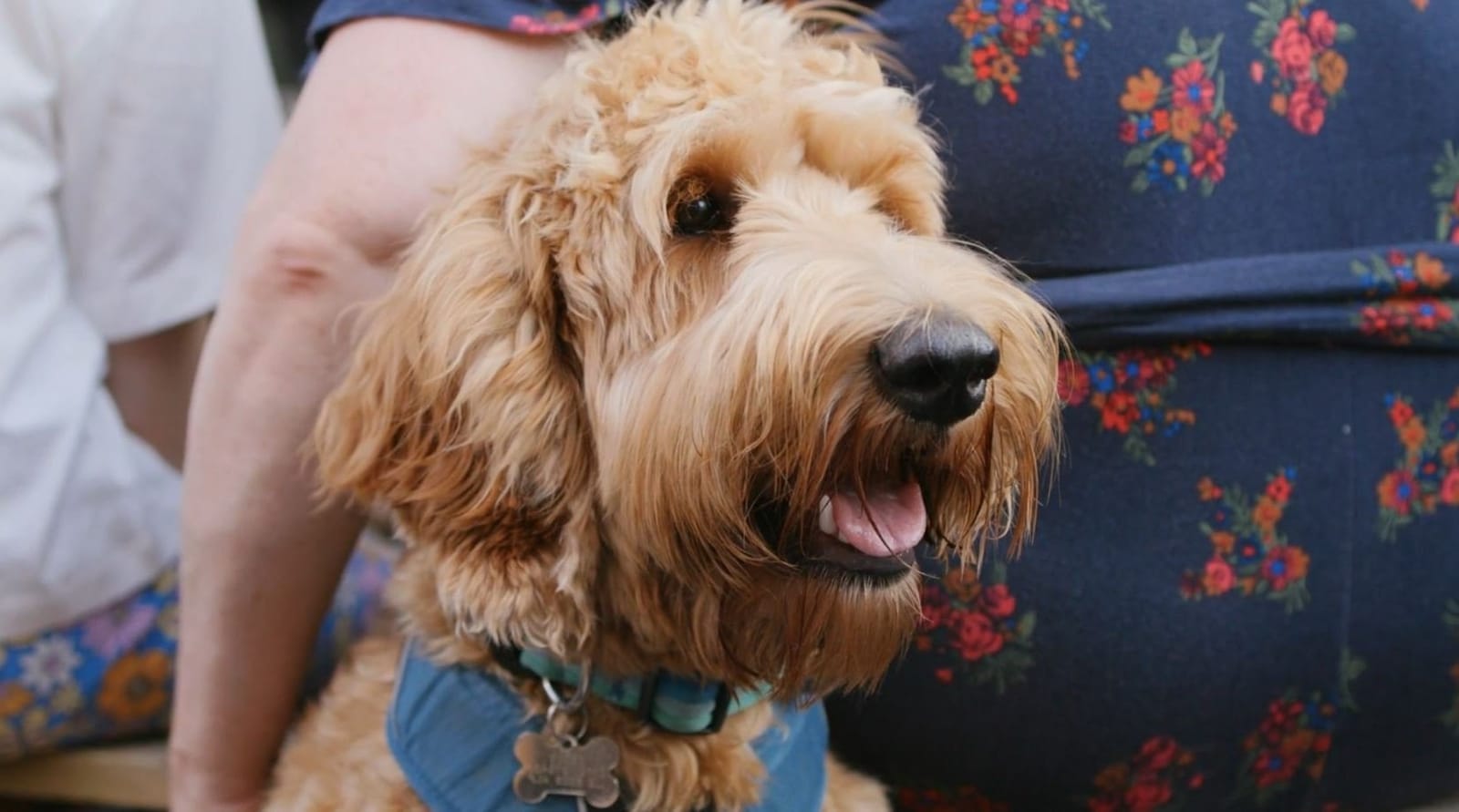 Snuffle Dog cafe & wine bar photo 7