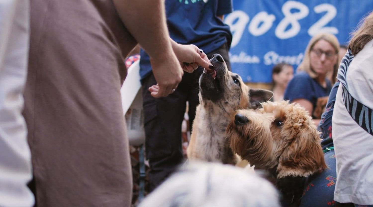 Snuffle Dog cafe & wine bar photo 2