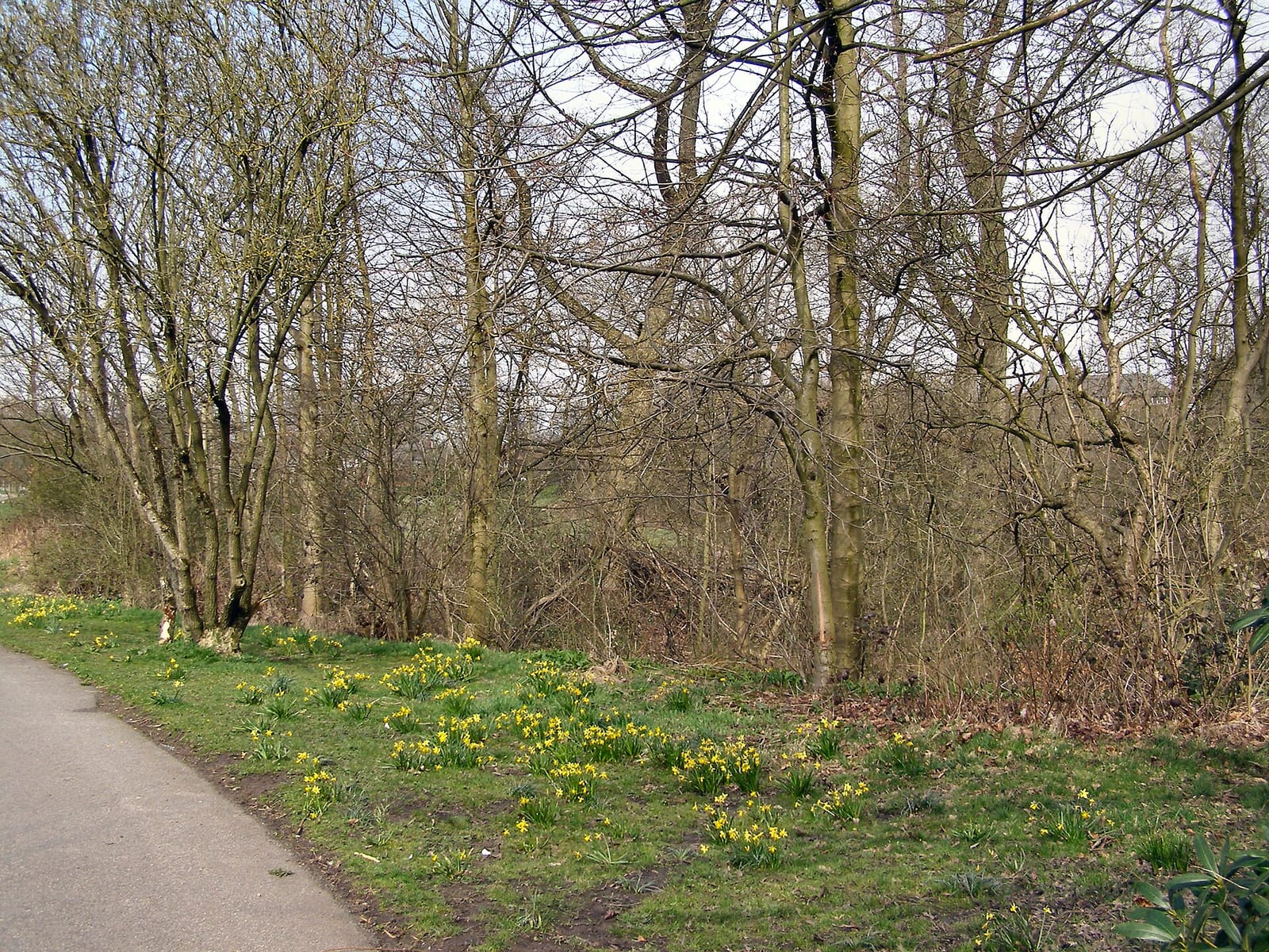 Lakeside Café – Boggart Hole Clough photo 5