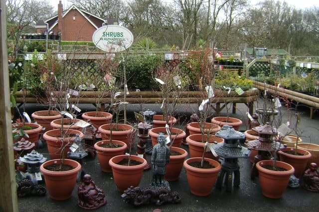 Northwood Garden Centre photo 3
