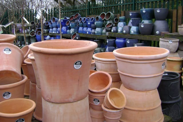 Northwood Garden Centre photo 2