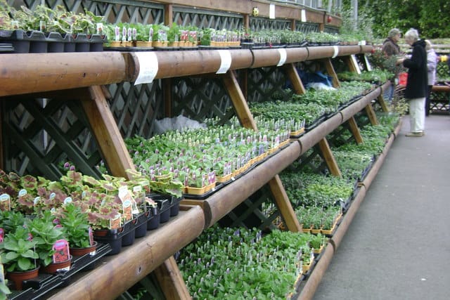 Northwood Garden Centre photo 4