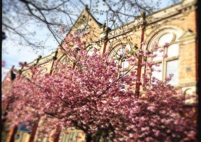 Fenton Town Hall photo 2