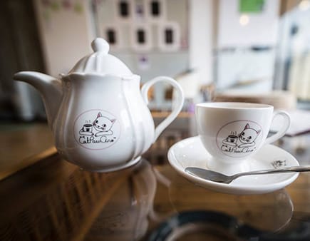 CatPawCino Cat Cafe photo 2