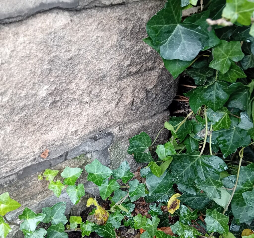 The Rare Drop photo 3
