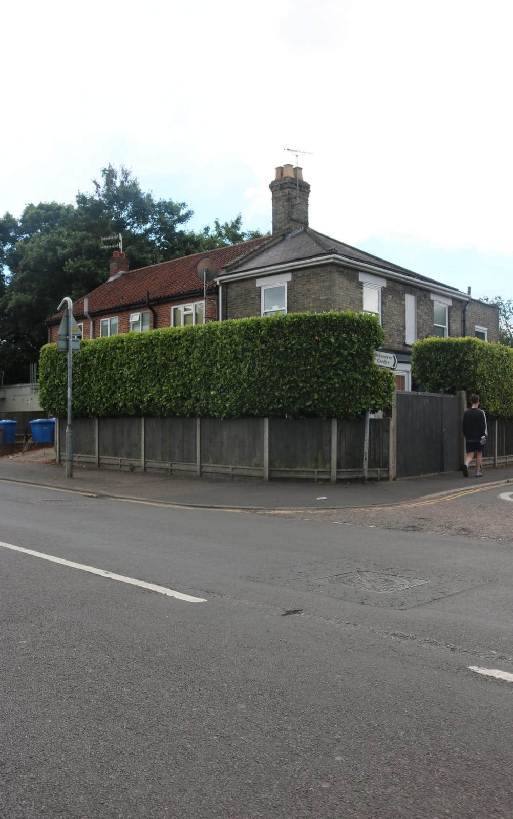 The Cat House - Norwich photo 3