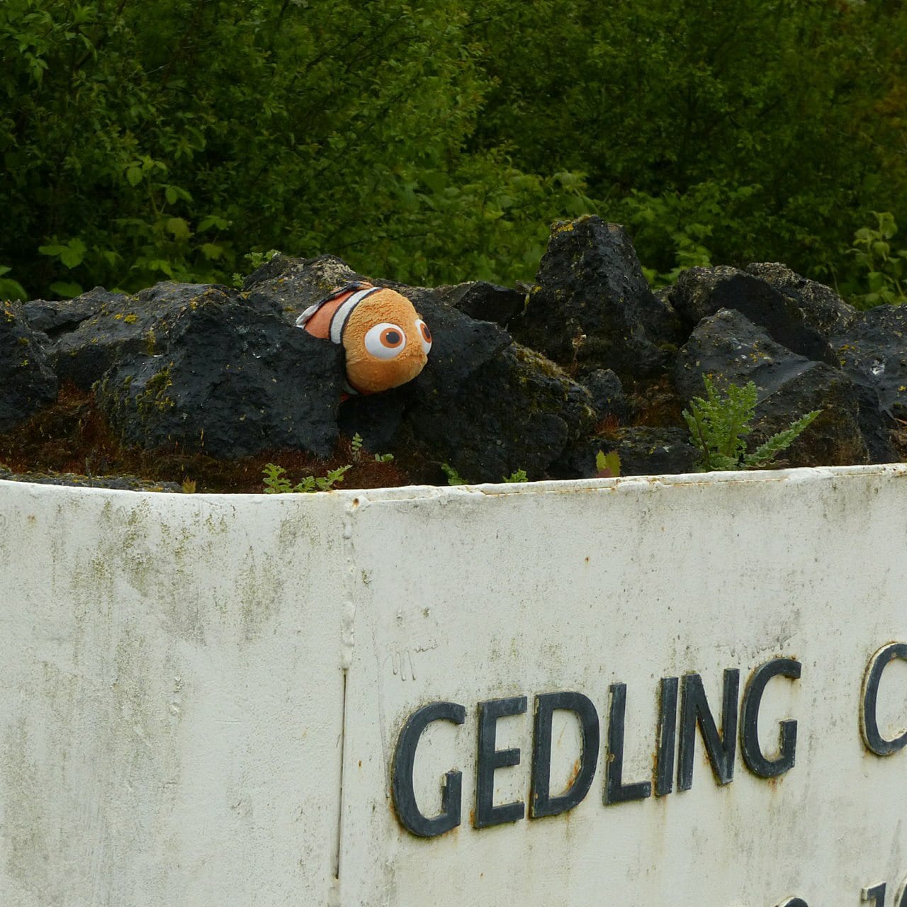 Gedling Country Park photo 2