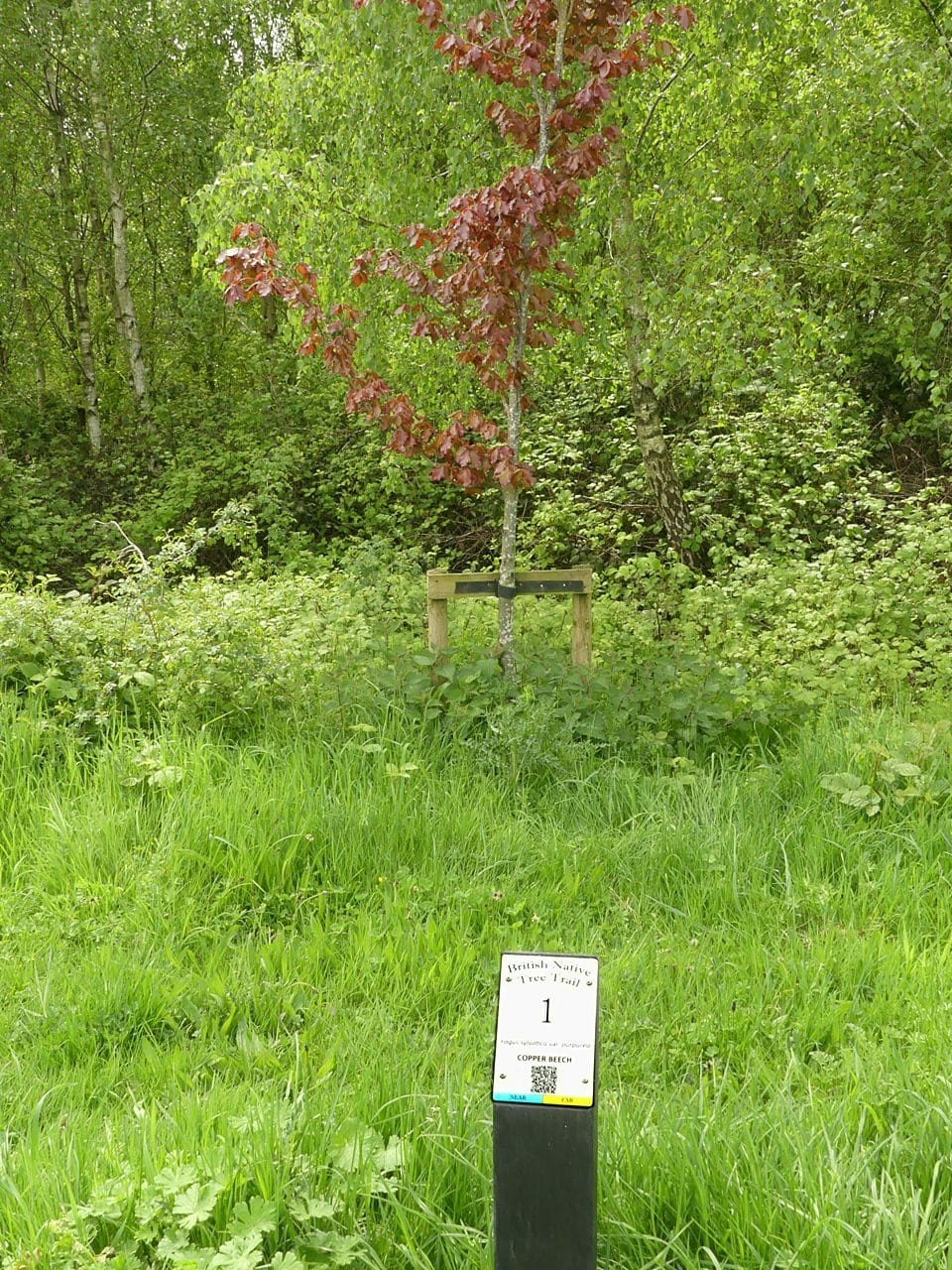 Cafe 1899 Gedling Country Park photo 5