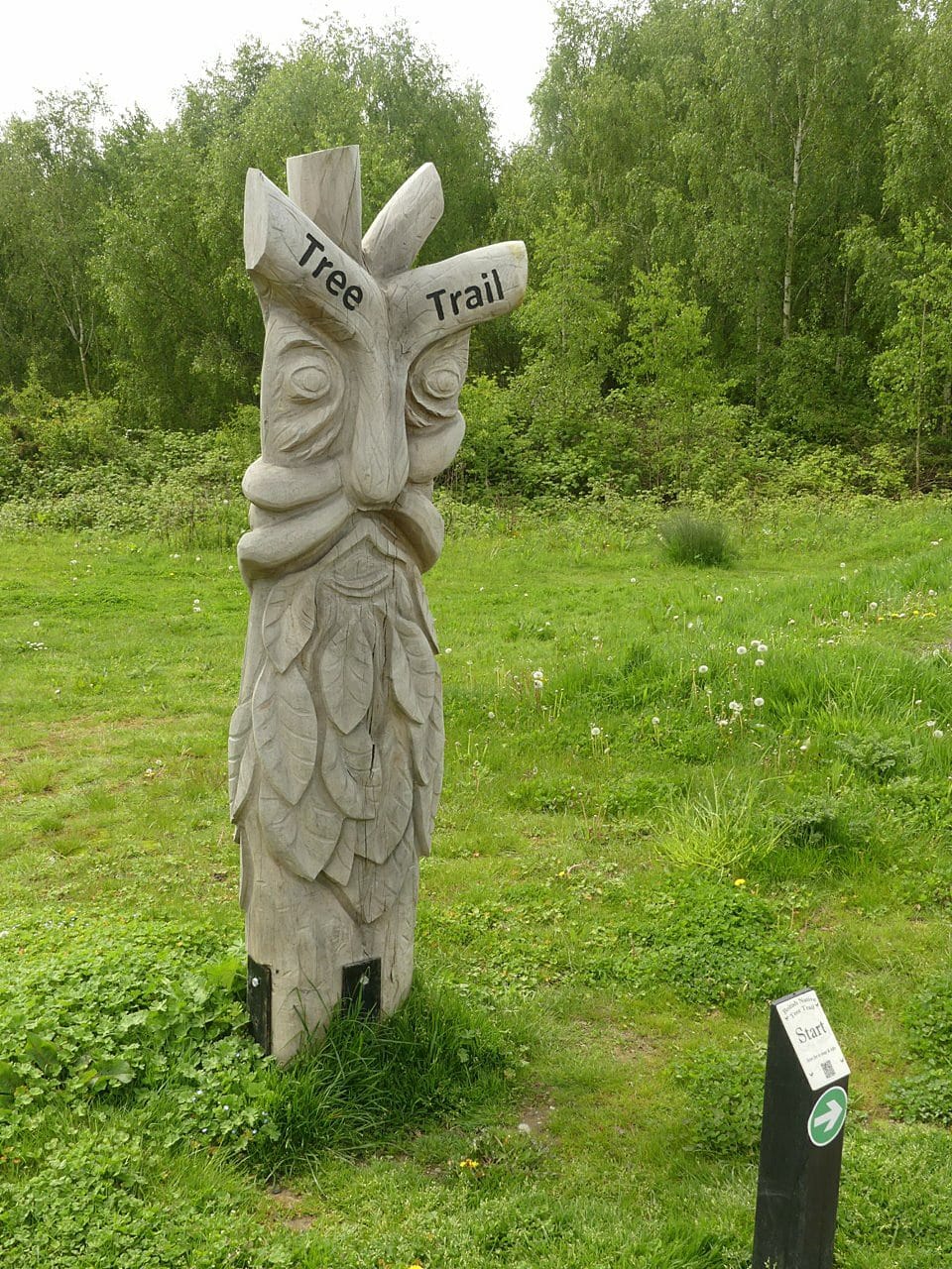 Cafe 1899 Gedling Country Park photo 4