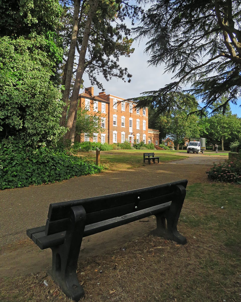 Little Green photo 4