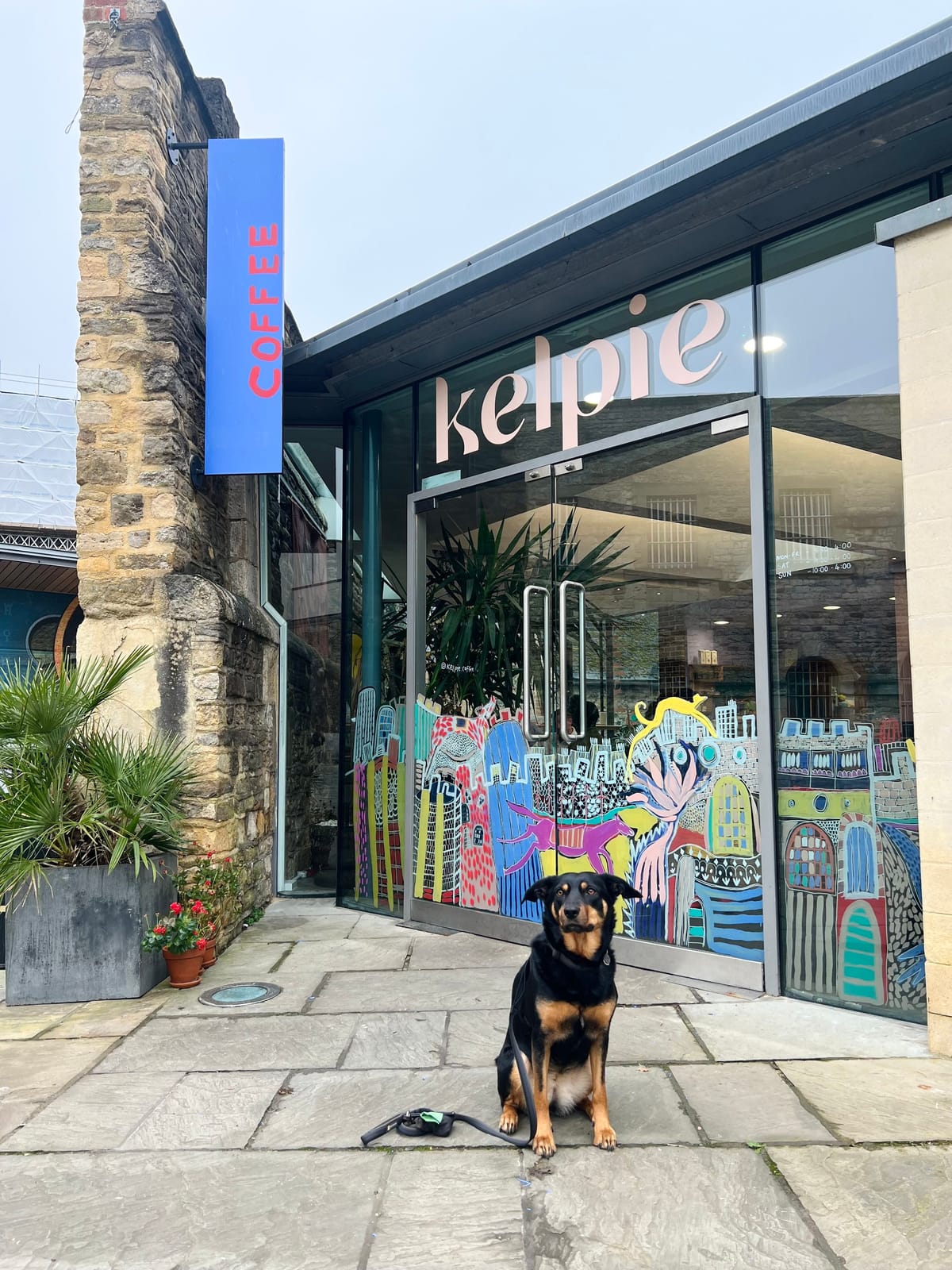 Kelpie Coffee photo 3
