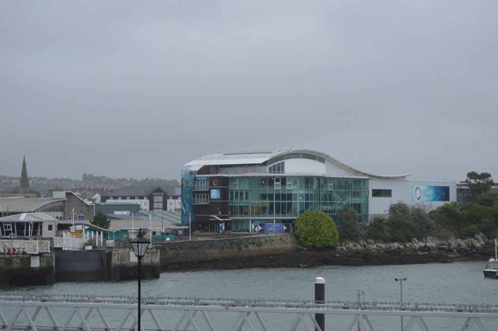 Rise and Grind Plymouth photo 5