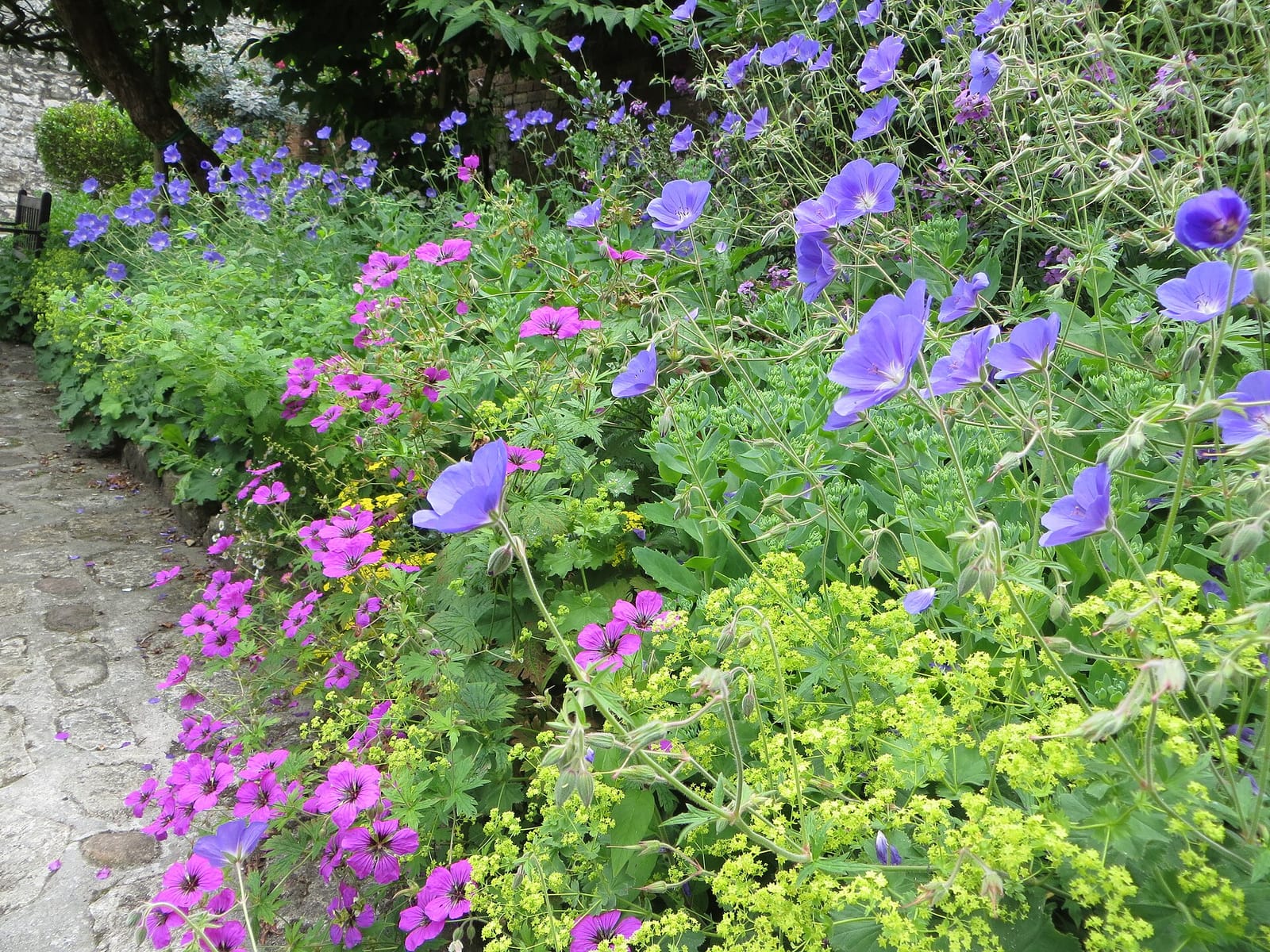 Scaplen's Court & Garden photo 4