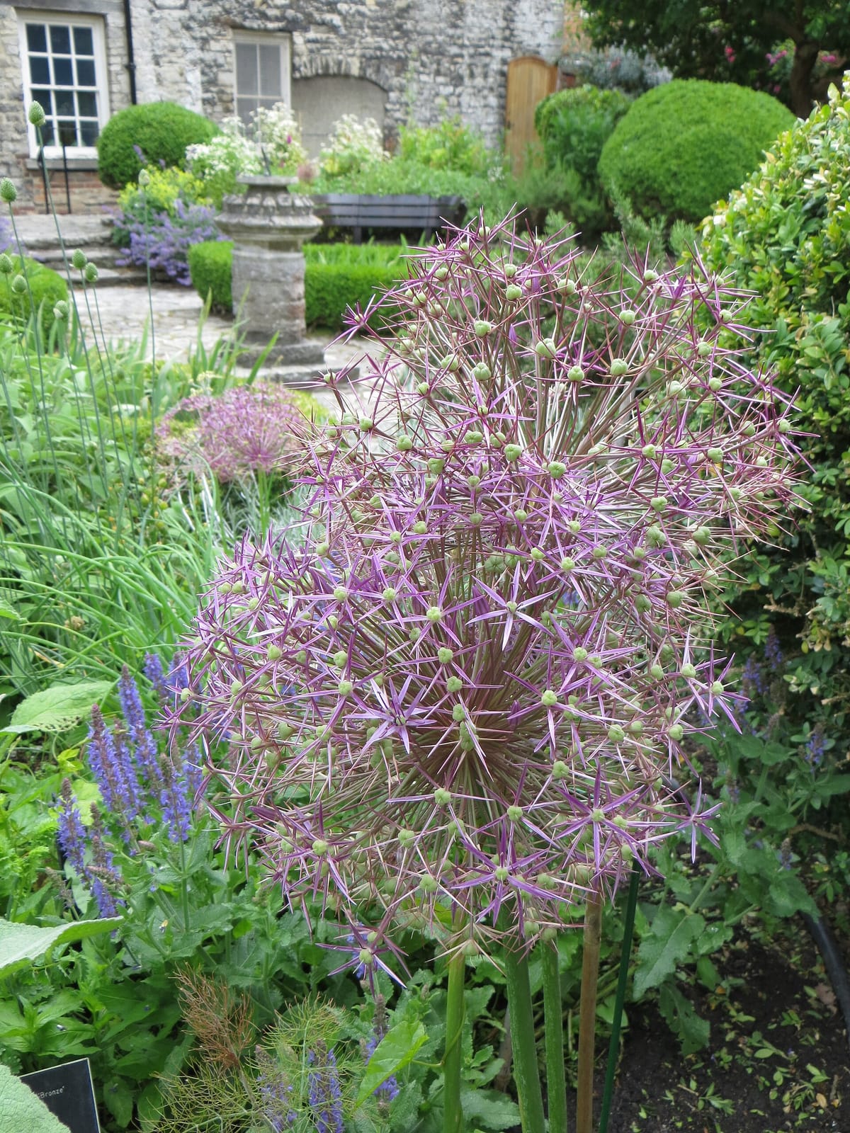 Scaplen's Court & Garden photo 3