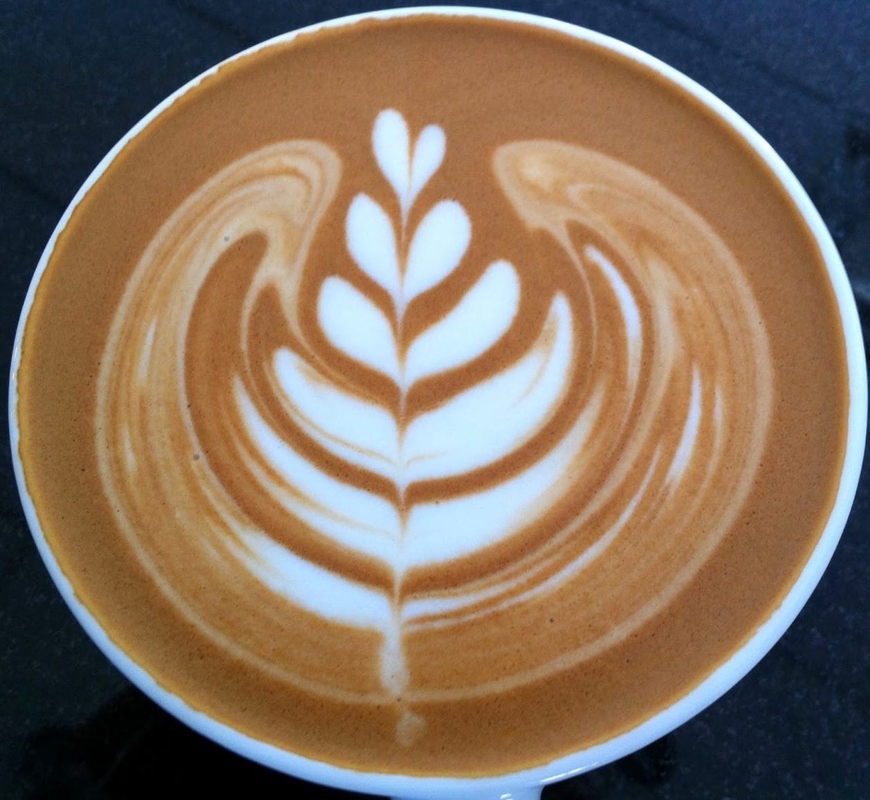 Blue Frog Coffee