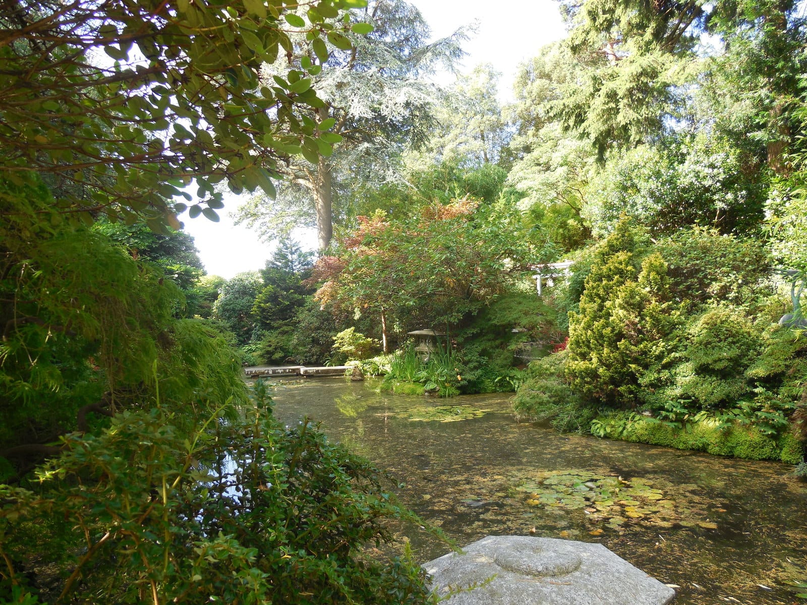 Compton Acres Café & Tea Rooms photo 5