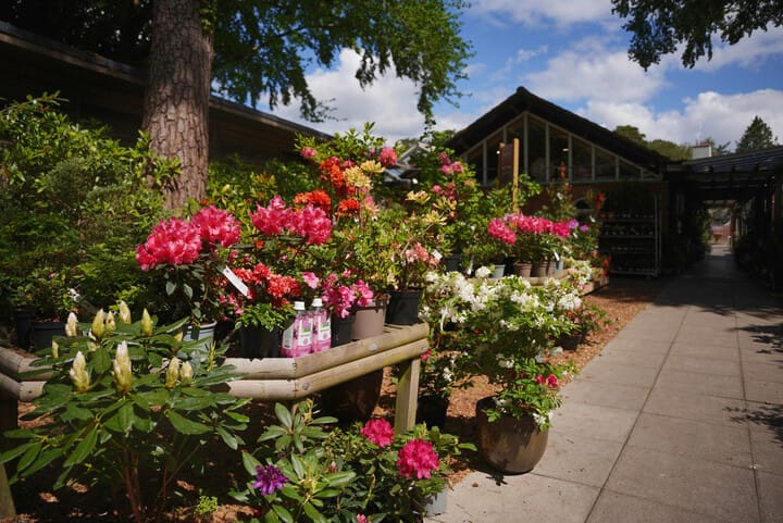 Compton Acres Café & Tea Rooms photo 2