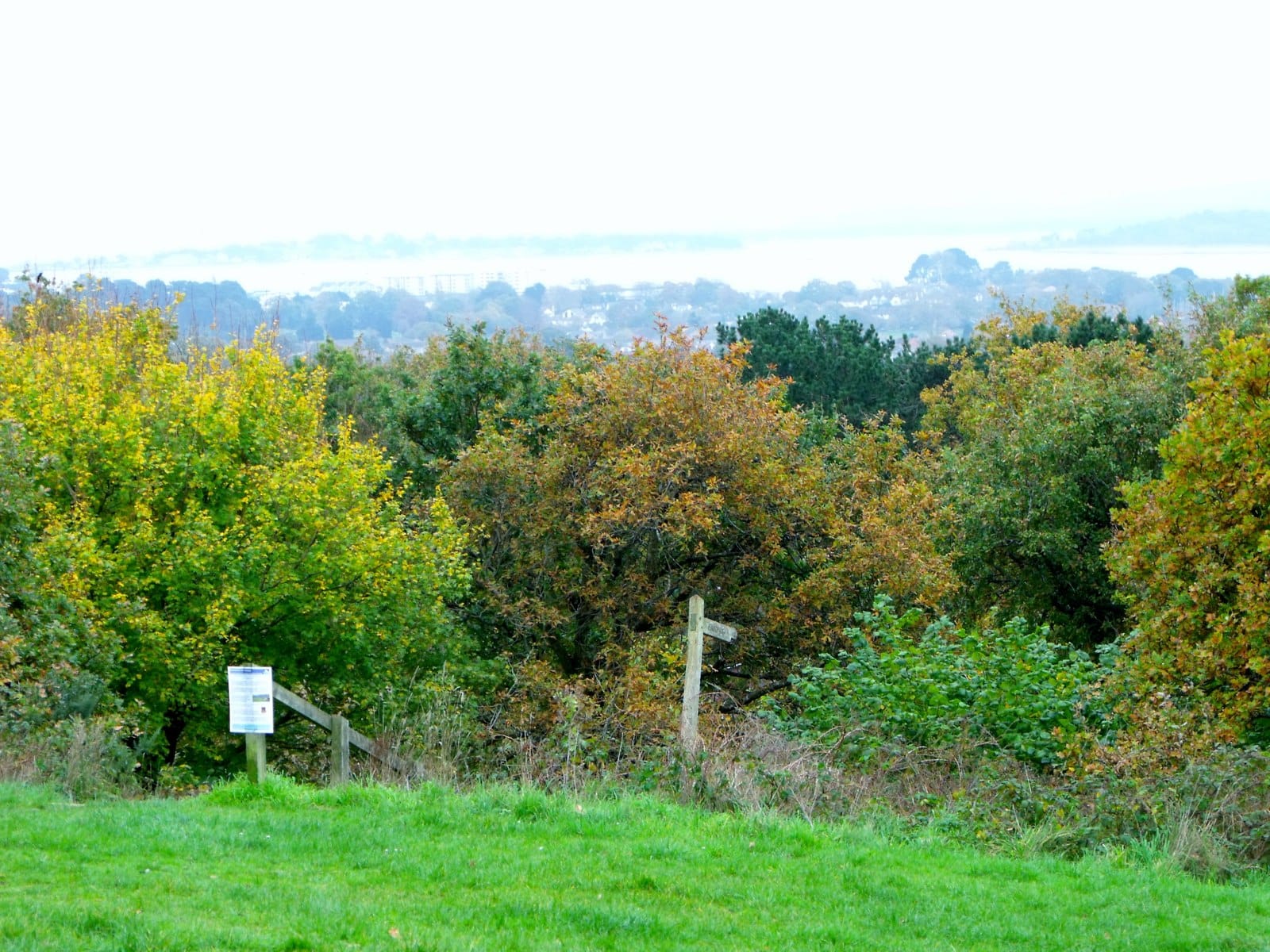 Seaview Kiosk photo 4