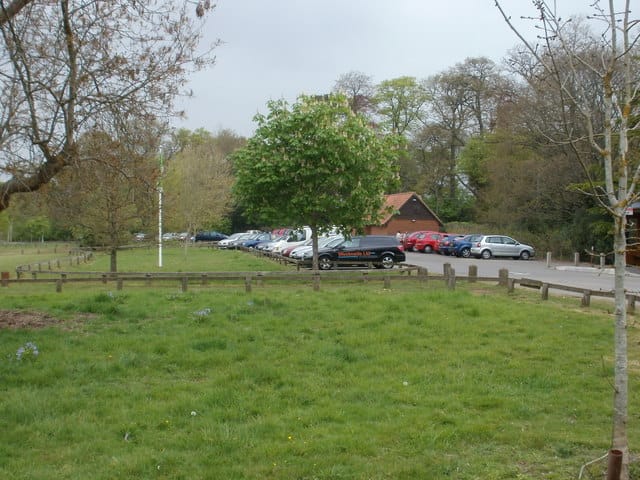 The Tea Rooms photo 12