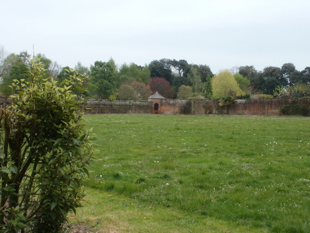 The Tea Rooms photo 11