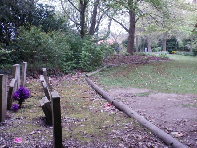 The Tea Rooms photo 13