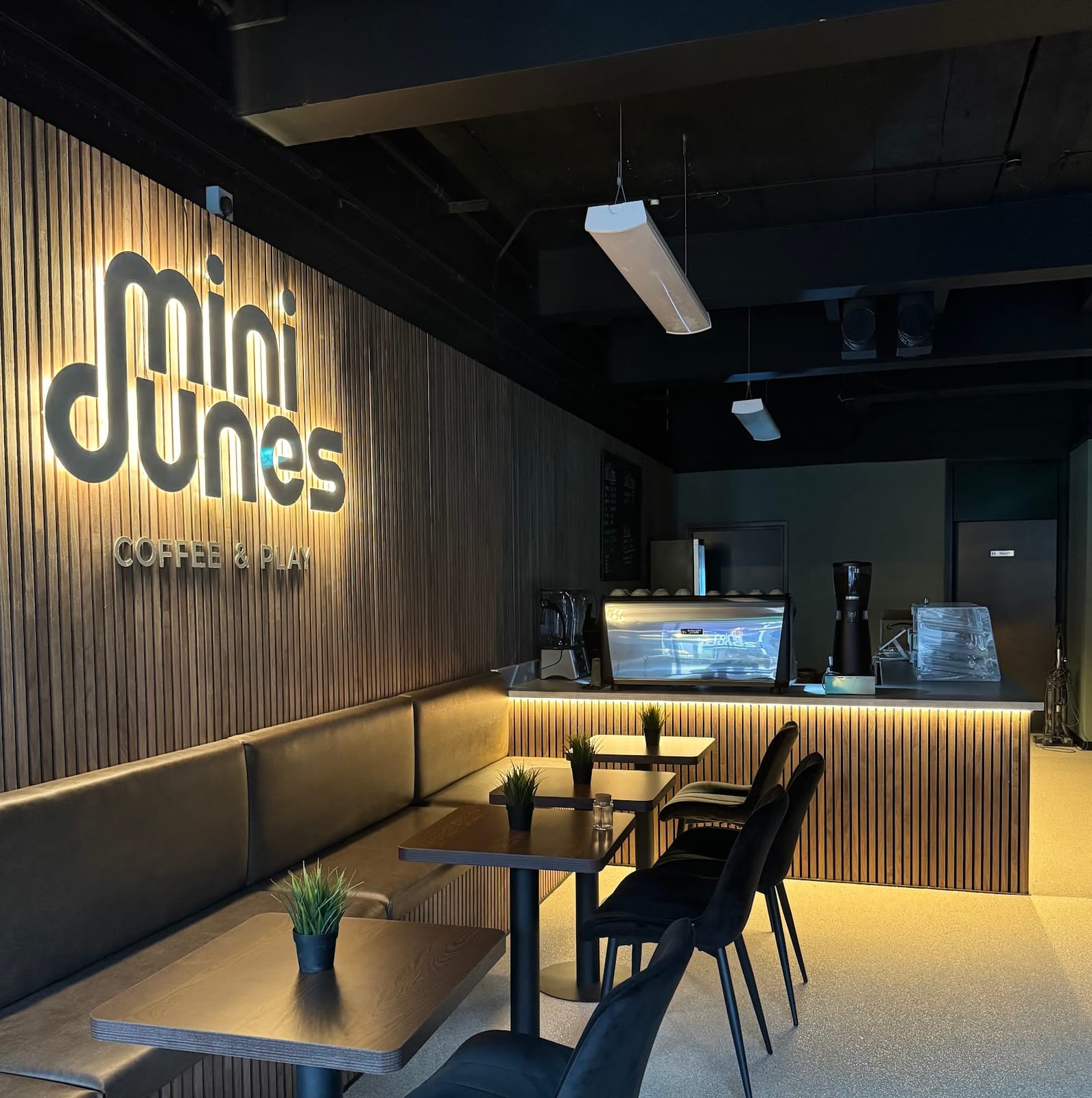 Mini Dunes