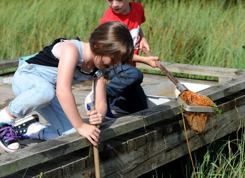 Brockholes photo 6