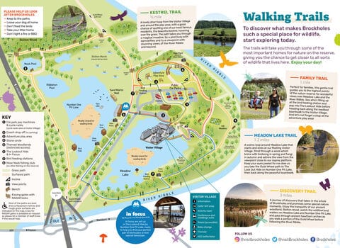 Brockholes photo 7