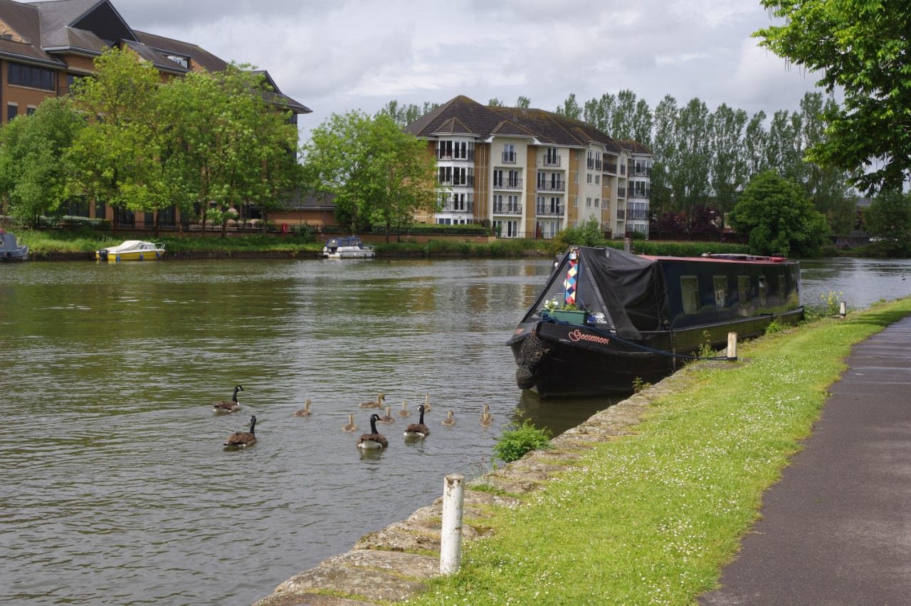 Whittington's Tea Barge photo 5
