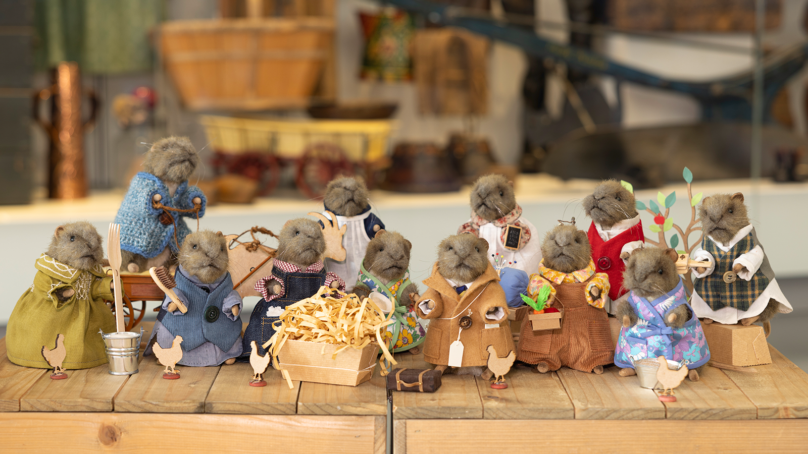 The Museum of English Rural Life photo 3