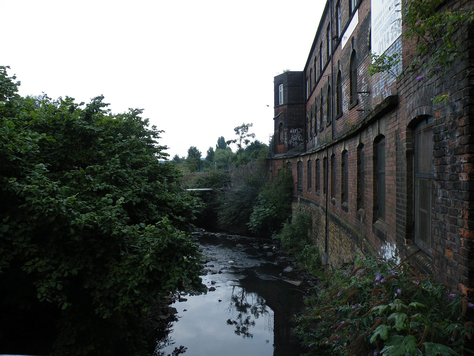 Heeley Bottom Cafe photo 5