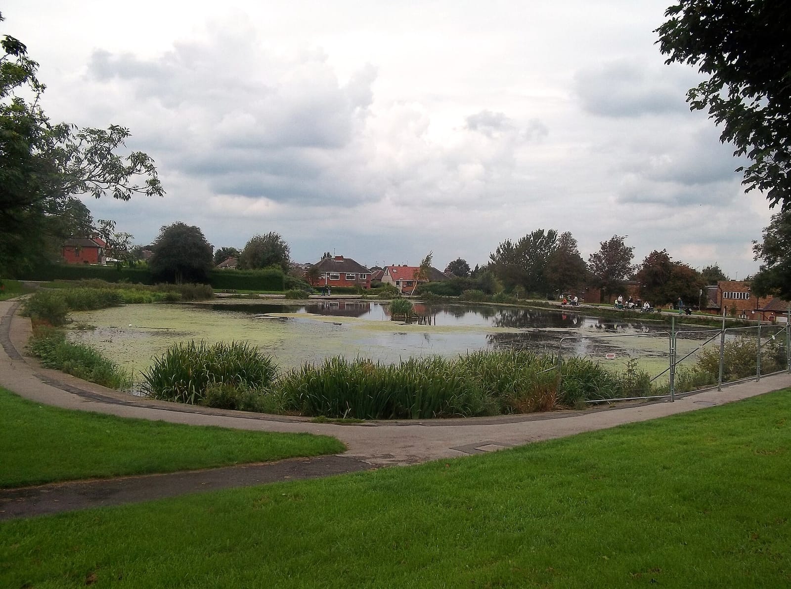 Cygnet Cafe photo 2