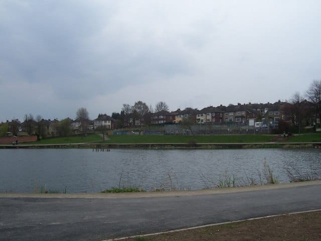 Cygnet Cafe photo 5