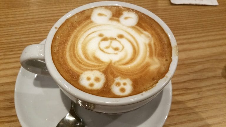 Digital Cafe Network photo 3