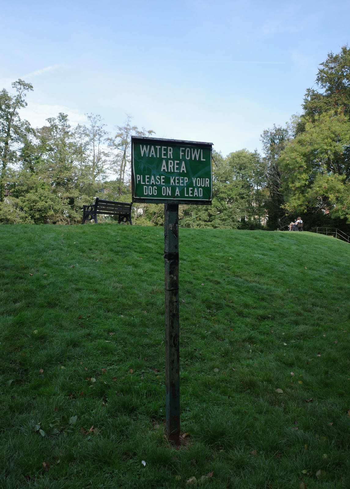 Motore Cafe (Bingham Park) photo 11