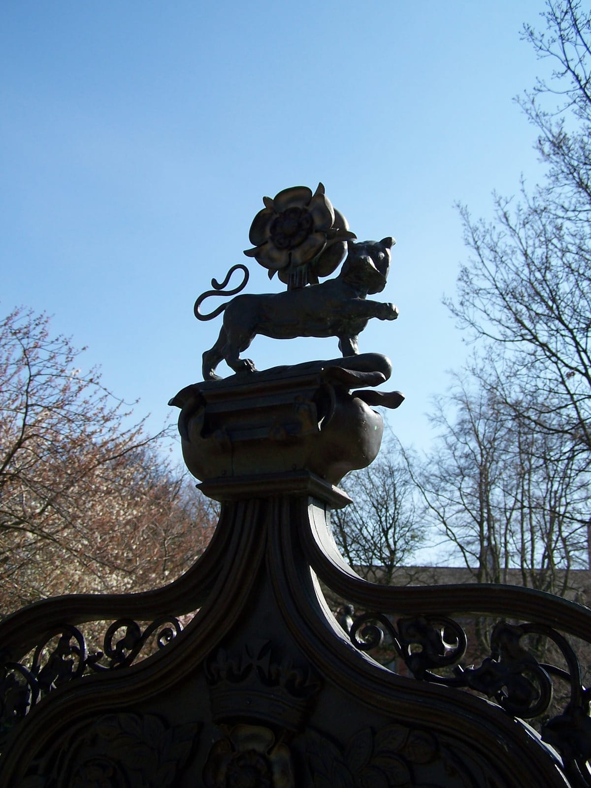 Ambulo (Weston Park Café) photo 5