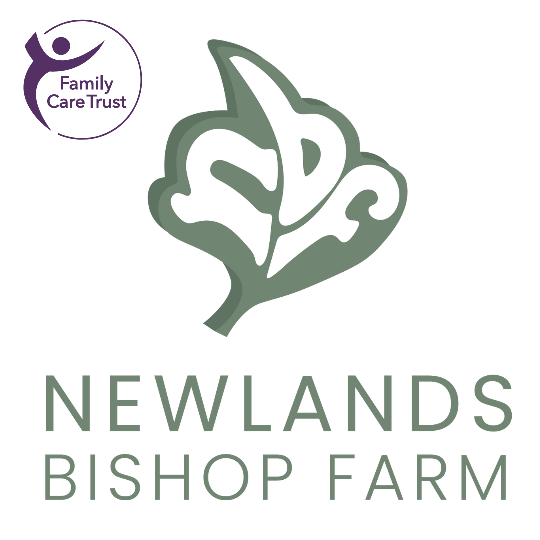 Newlands Bishop Farm photo 2