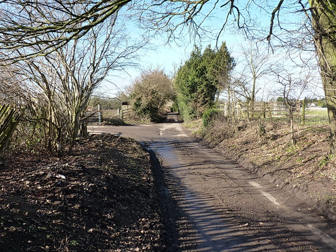 Newlands Bishop Farm photo 6