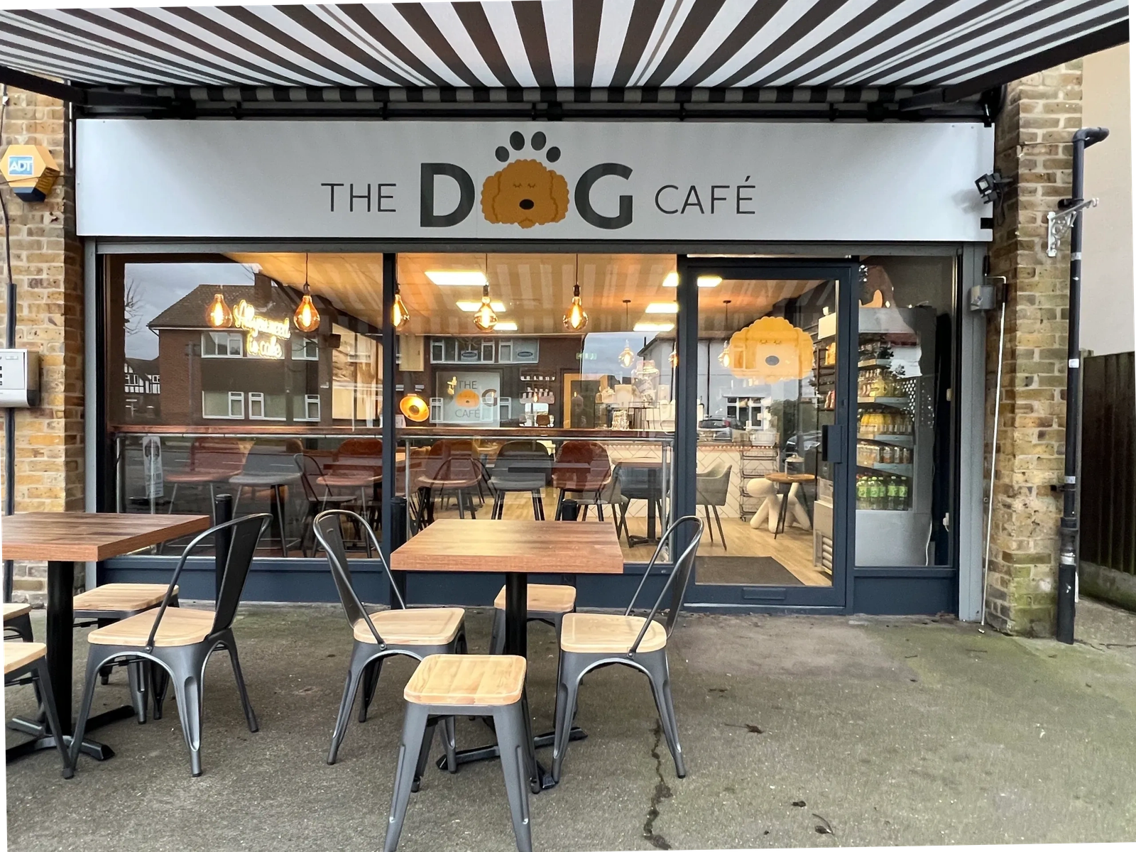 The Dog Cafe photo 2