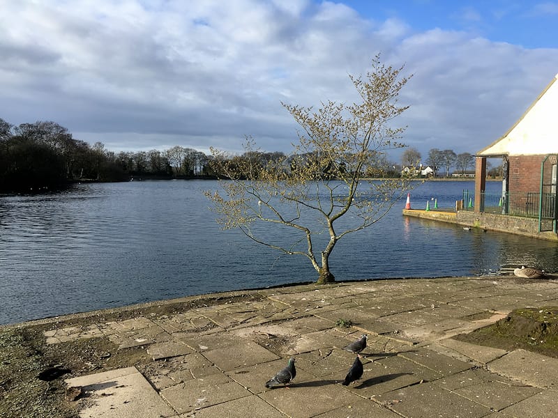 Boathouse Tearoom Taylor Park cafe photo 3