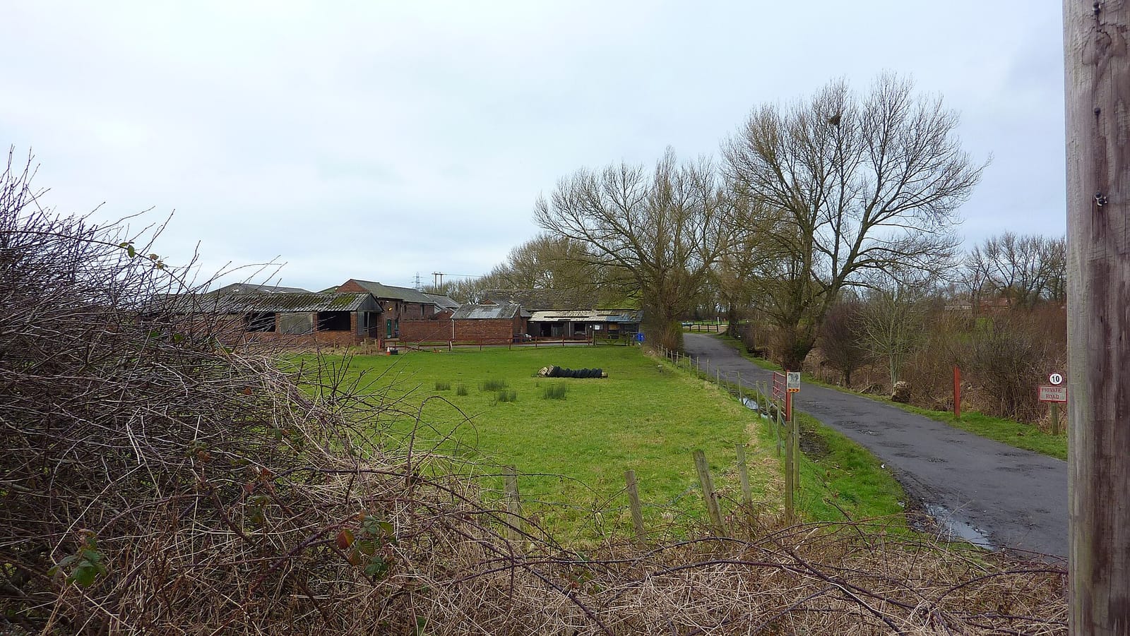 Woody's Burtonwood photo 3