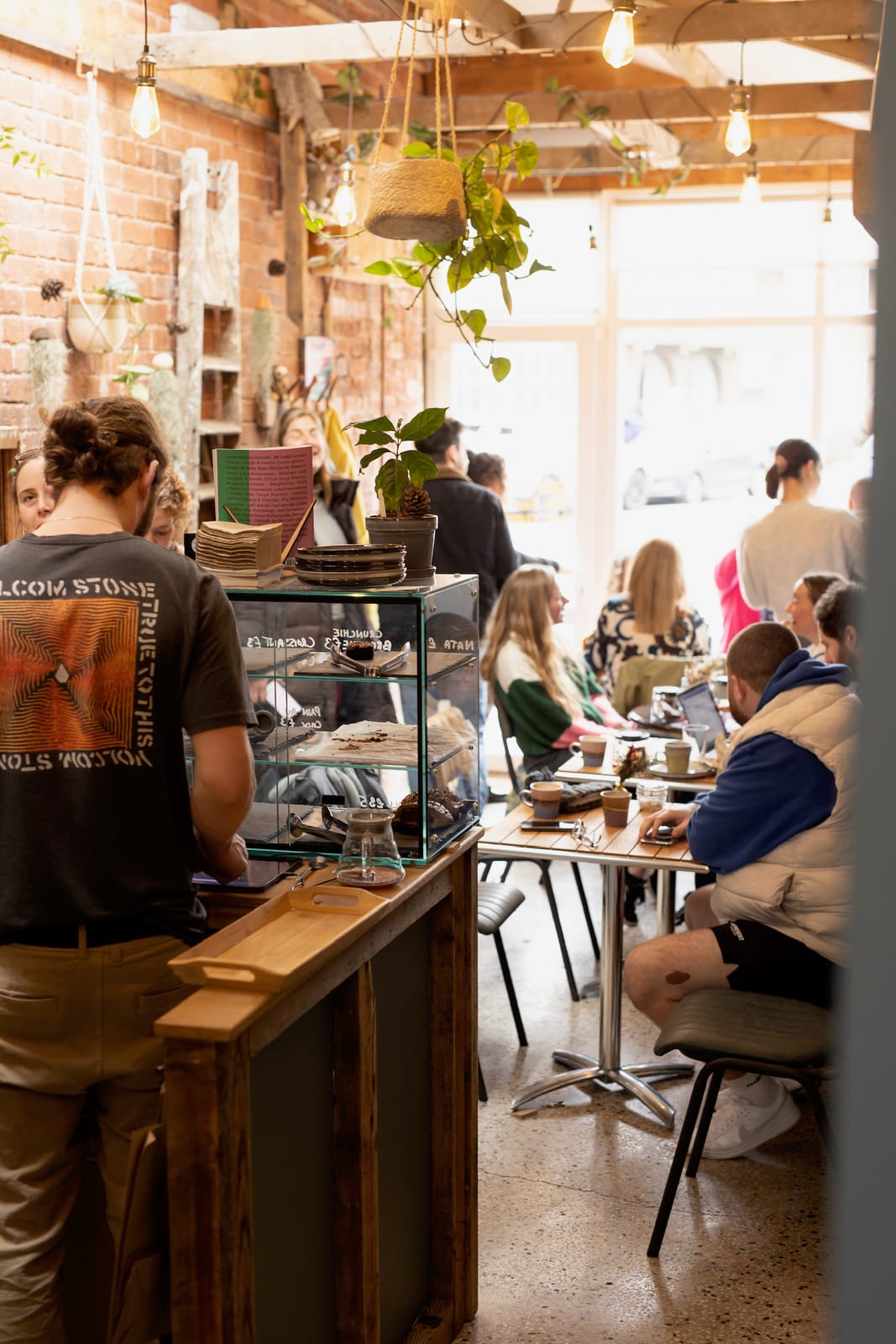 Sloth Coffee Co.