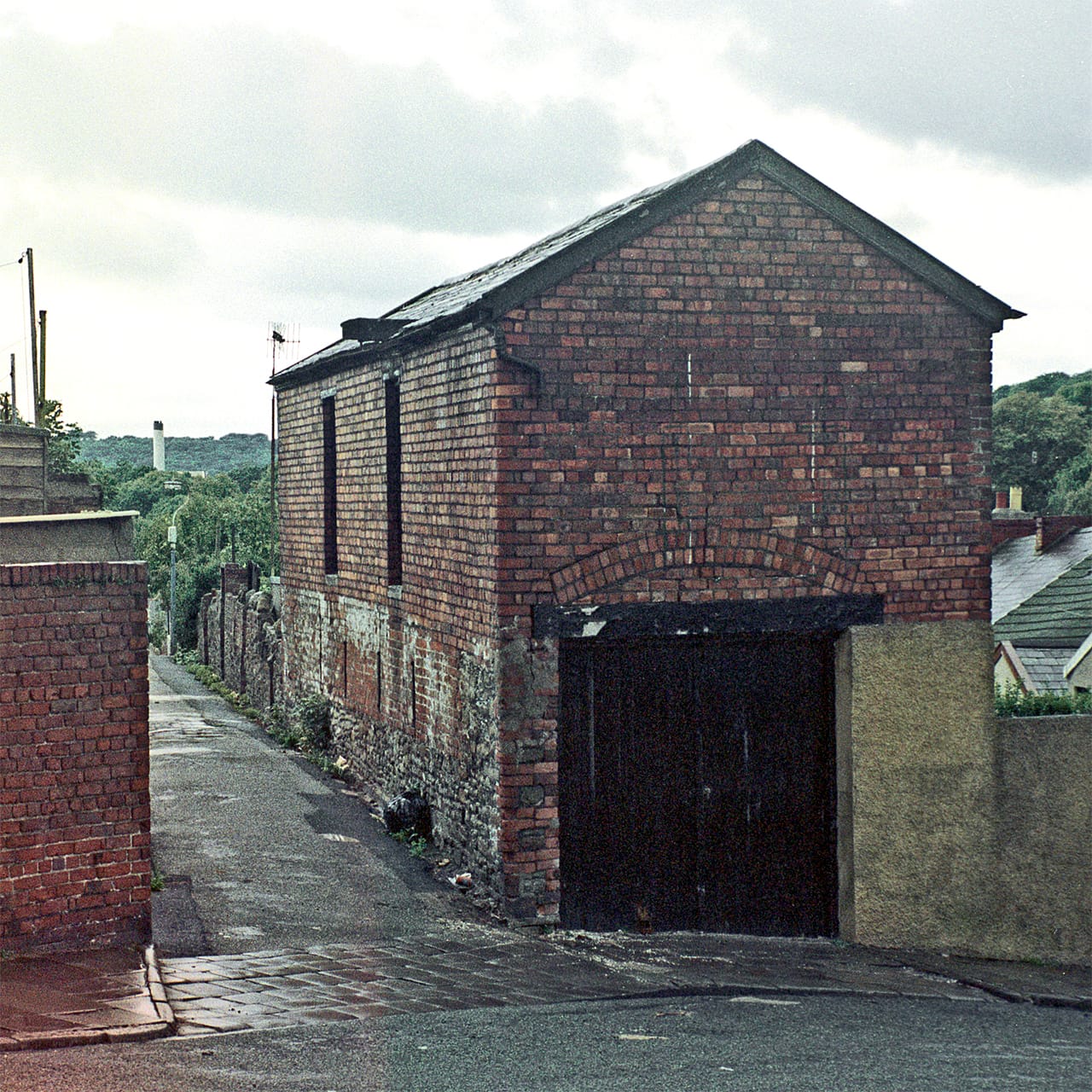 Sloth Coffee Brynmill photo 6