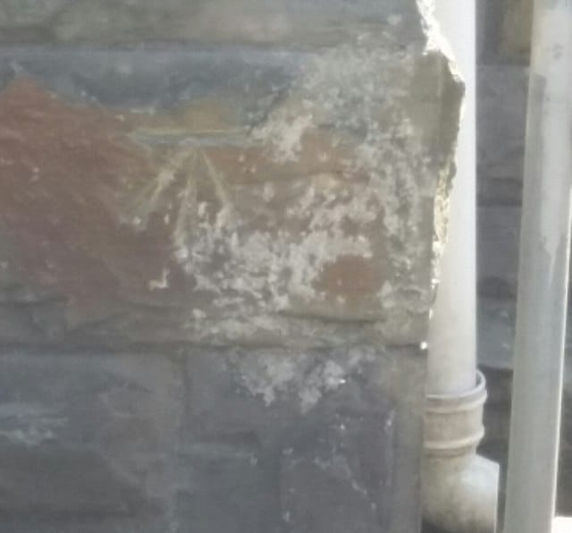 N0600 photo 3