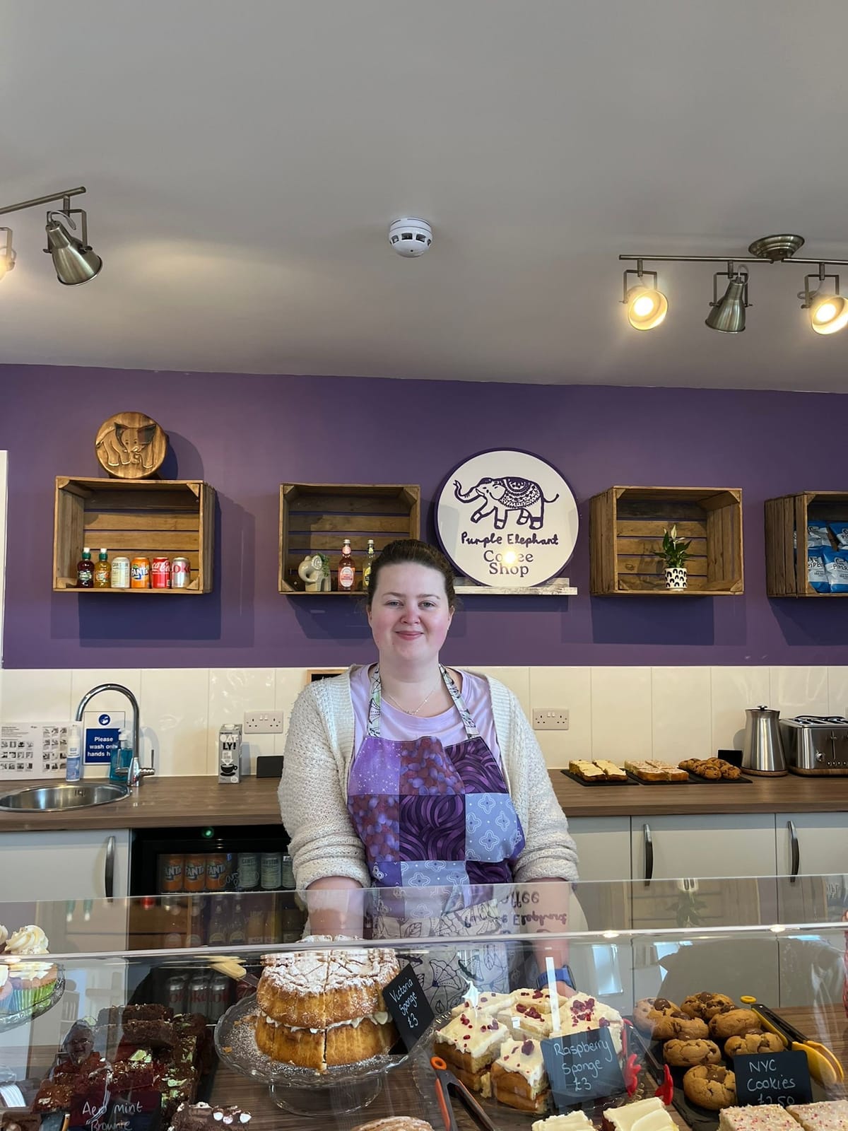 Purple Elephant Cakes Swansea